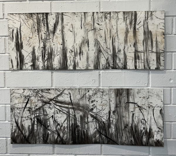 Two black and white horizonal artworks composed of abstract marks made by rubbing paper along recently burnt landscape.